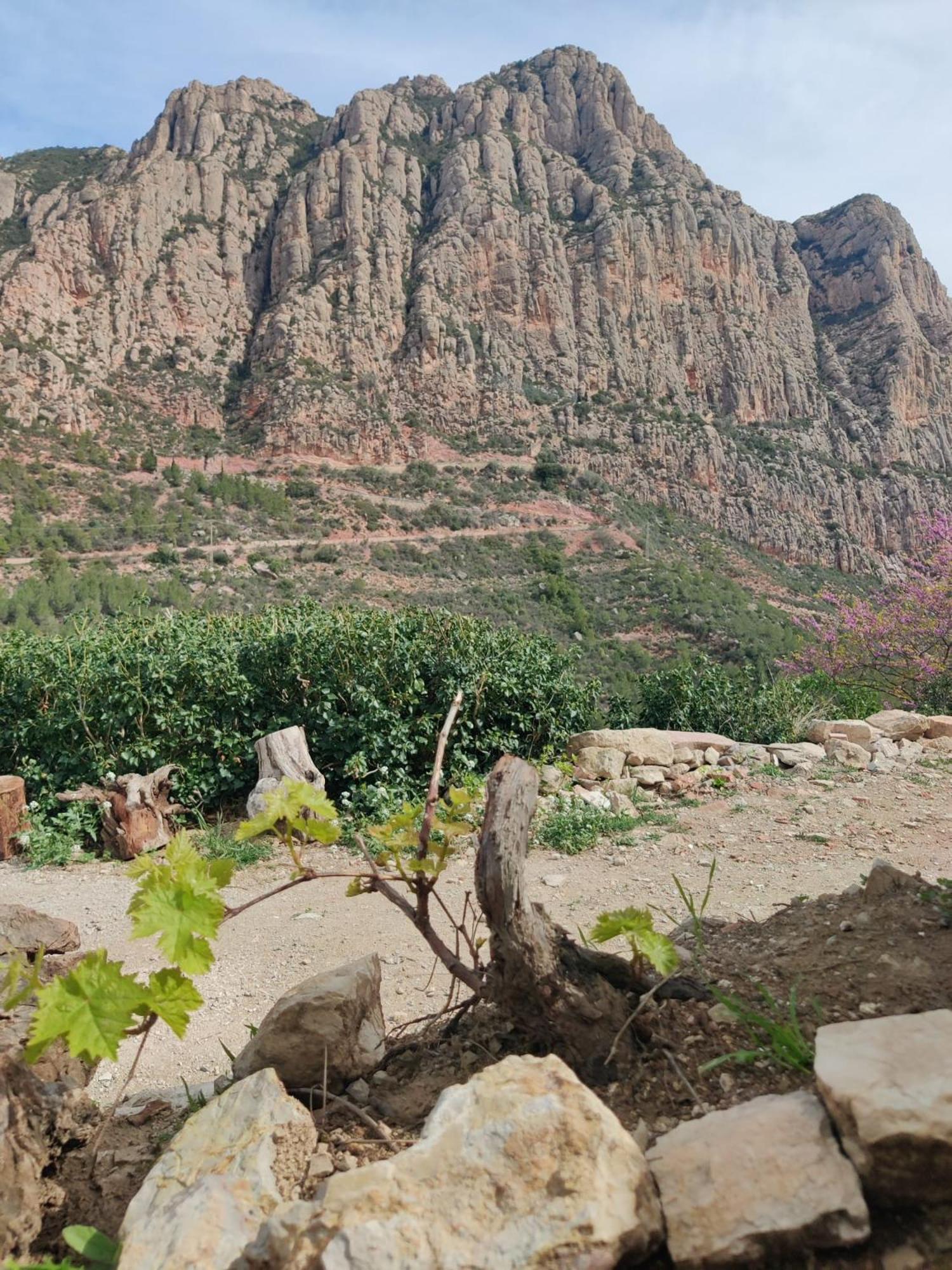 Cal Simon- Casa A Montserrat Collbató Buitenkant foto
